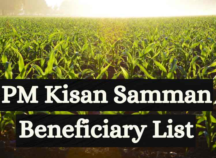 PM Kisan Samman Beneficiary