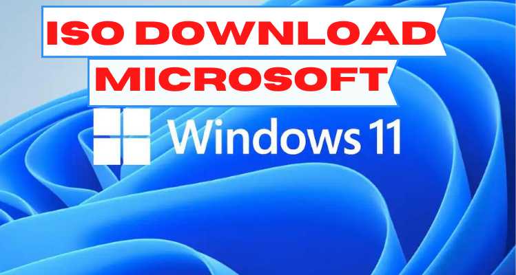 how to get windows 11 iso from microsoft