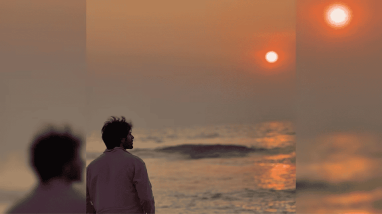 Kartik Aryan Birthday 2024